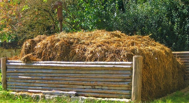 agriculture animal feeds GCT